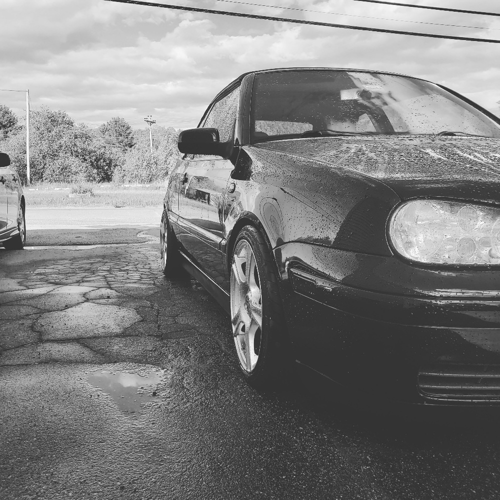 Meet your Posher, Holly